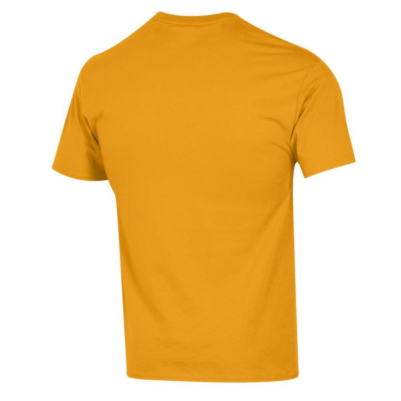 NCAA Iowa Hawkeyes Football Icon T-Shirt