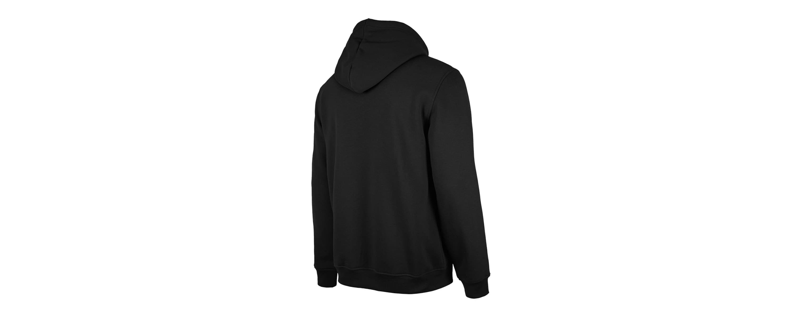 NBA Toronto Raptors 2024/25 City Edition Pullover Hoodie