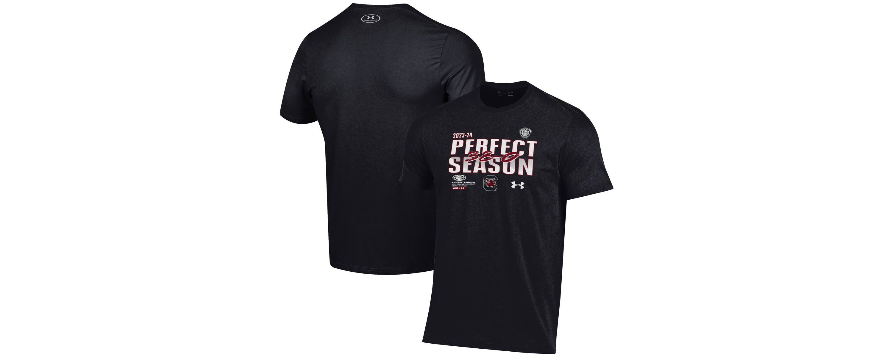 NCAA Under Armour South Carolina Gamecocks 2024 NCAA Basketball National s Perfect Season T-Shirt