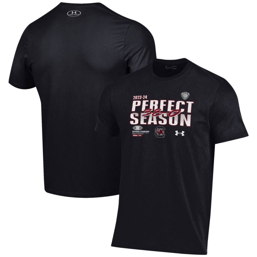 NCAA Under Armour South Carolina Gamecocks 2024 NCAA Basketball National s Perfect Season T-Shirt