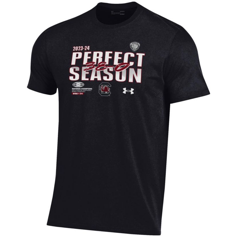 NCAA Under Armour South Carolina Gamecocks 2024 NCAA Basketball National s Perfect Season T-Shirt