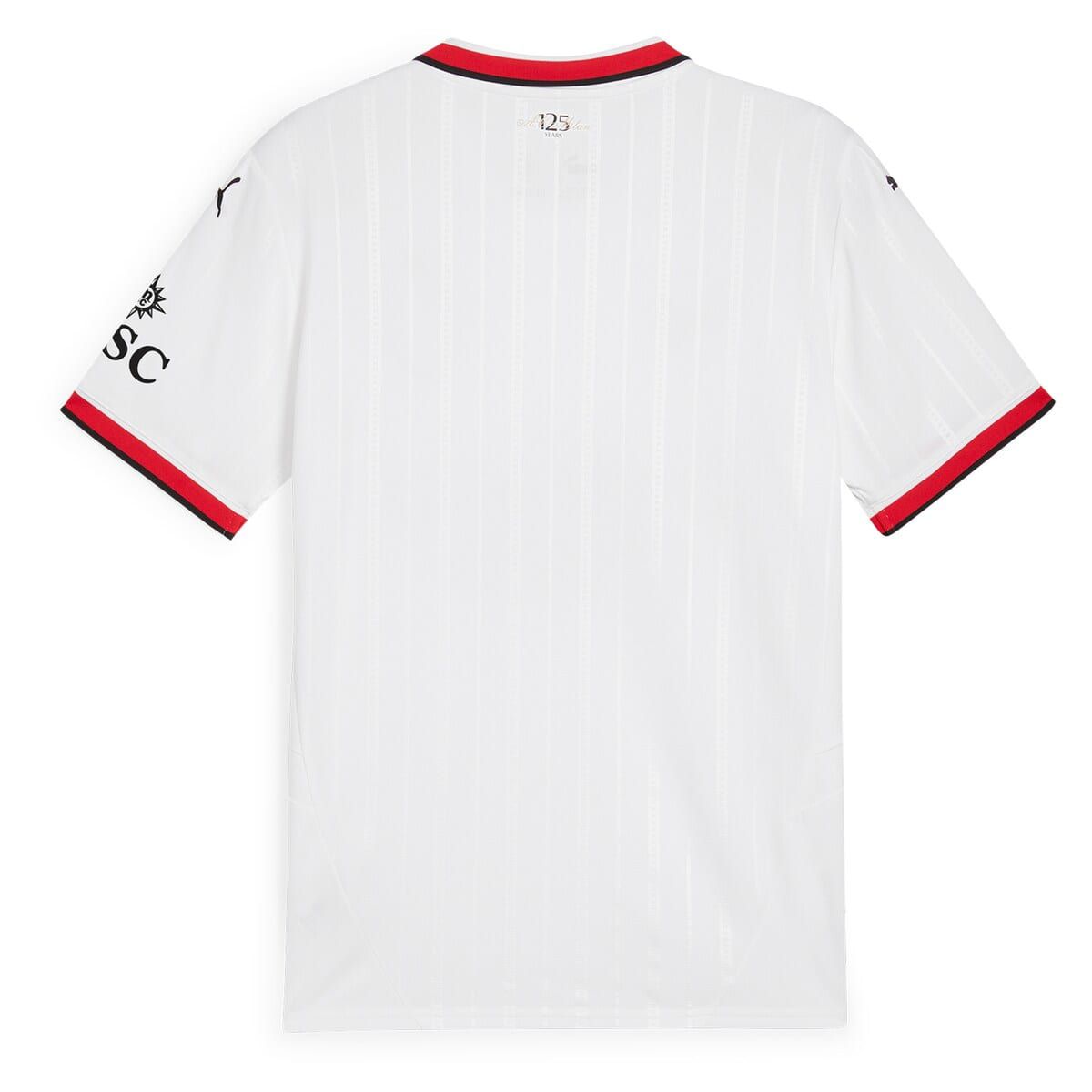 International Clubs AC Milan 2024/25 Away Replica Jersey