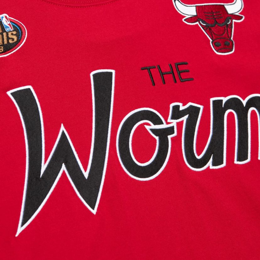 NBA Dennis Rodman Chicago Bulls Premium Nickname T-Shirt