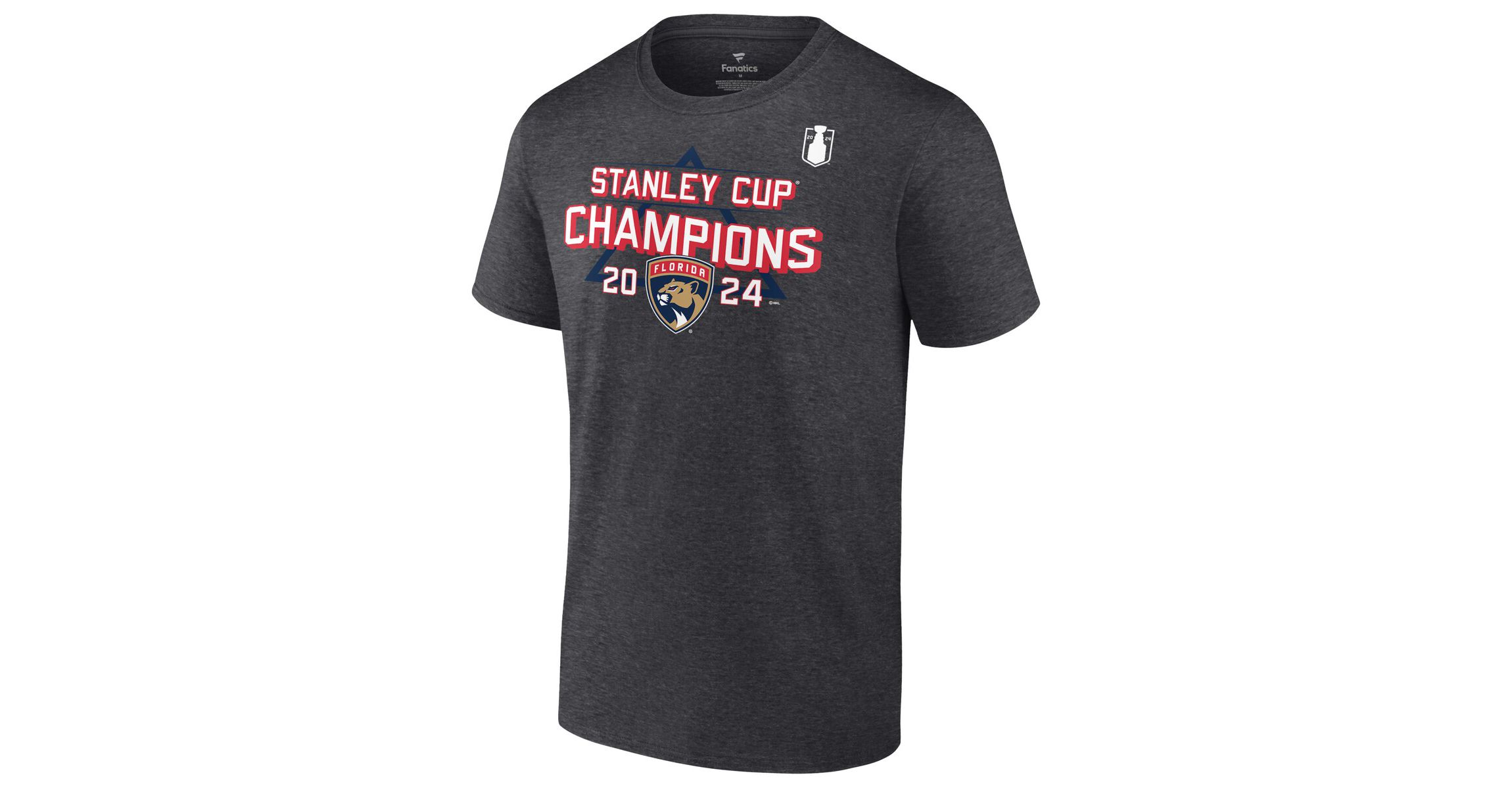 NHL Fanatics Florida Panthers 2024 Stanley Cup s Schedule T-Shirt