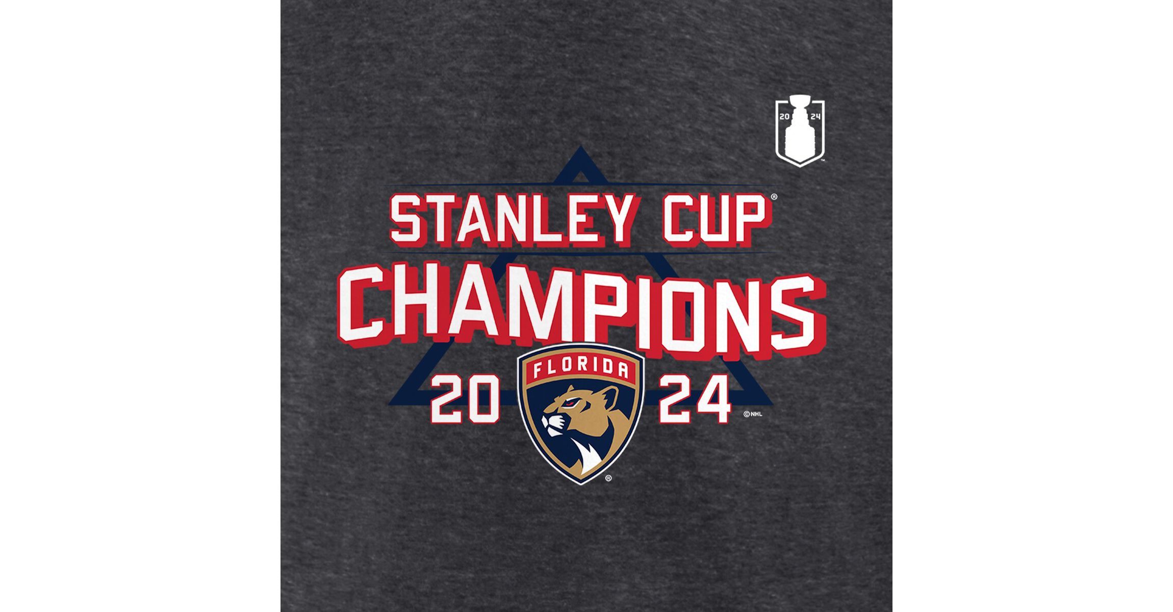 NHL Fanatics Florida Panthers 2024 Stanley Cup s Schedule T-Shirt