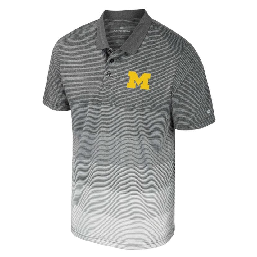 NCAA Michigan Wolverines Striped Mesh Polo