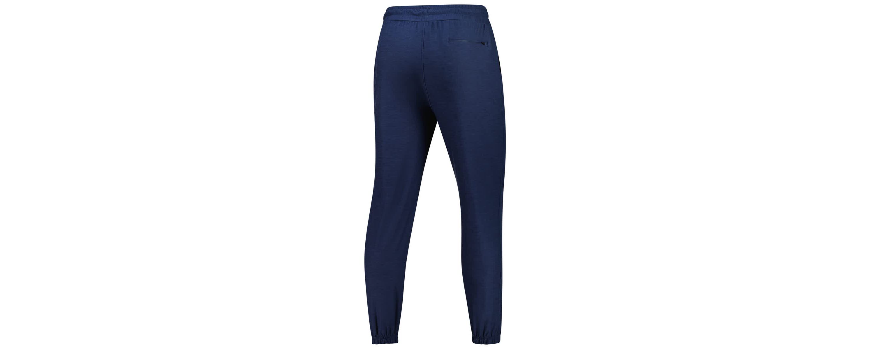 NCAA Michigan Wolverines Revolution Jogger Pants