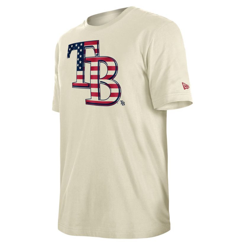 MLB Tampa Bay Rays Americana Flag Fill T-Shirt