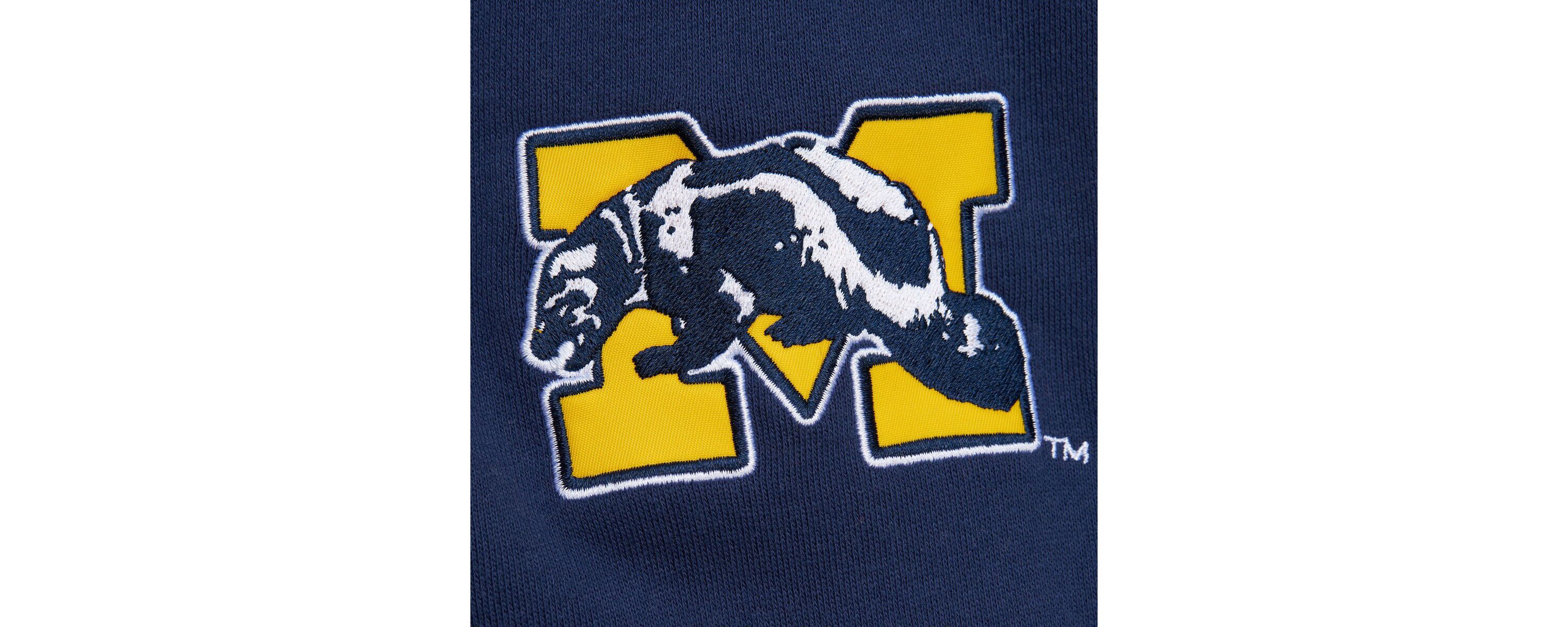 NCAA Grey Michigan Wolverines Throwback Allover 4.0 Pullover Sweatshirt