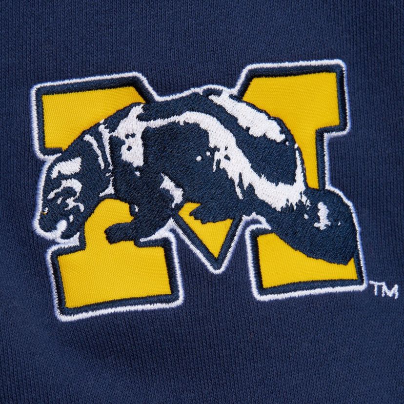NCAA Grey Michigan Wolverines Throwback Allover 4.0 Pullover Sweatshirt