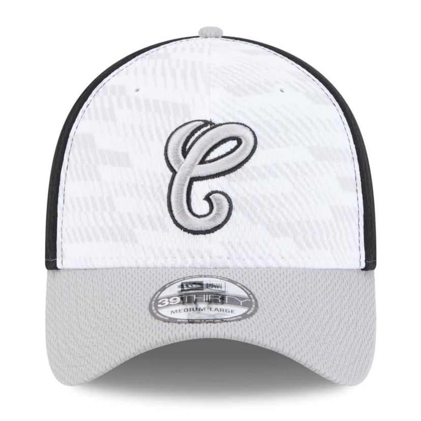 Chicago White Sox MLB Black/Gray Chicago Sox 2025 MLB Clubhouse 39THIRTY Flex Hat