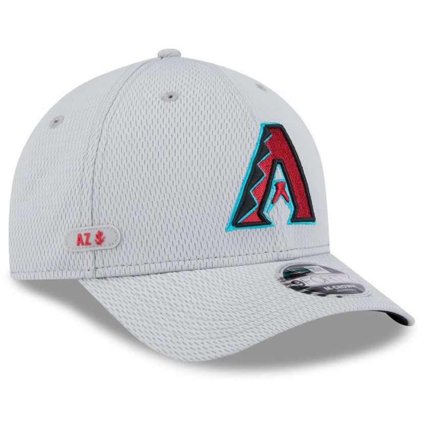 MLB Arizona Diamondbacks 2025 MLB Clubhouse 9FORTY M-Crown Adjustable Hat