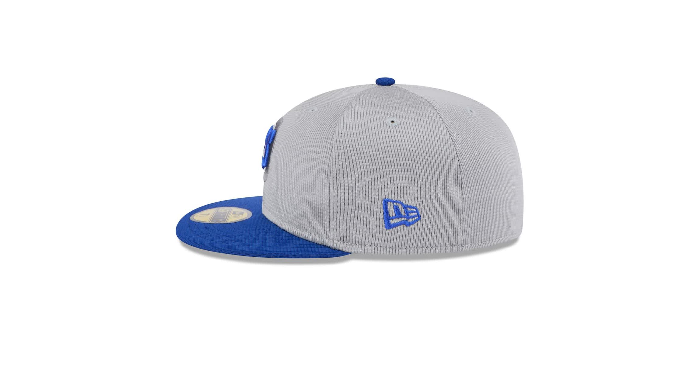 MLB Gray/Royal Chicago Cubs 2025 Batting Practice 59FIFTY Fitted Hat