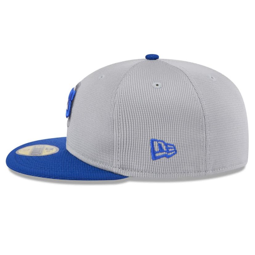 MLB Gray/Royal Chicago Cubs 2025 Batting Practice 59FIFTY Fitted Hat