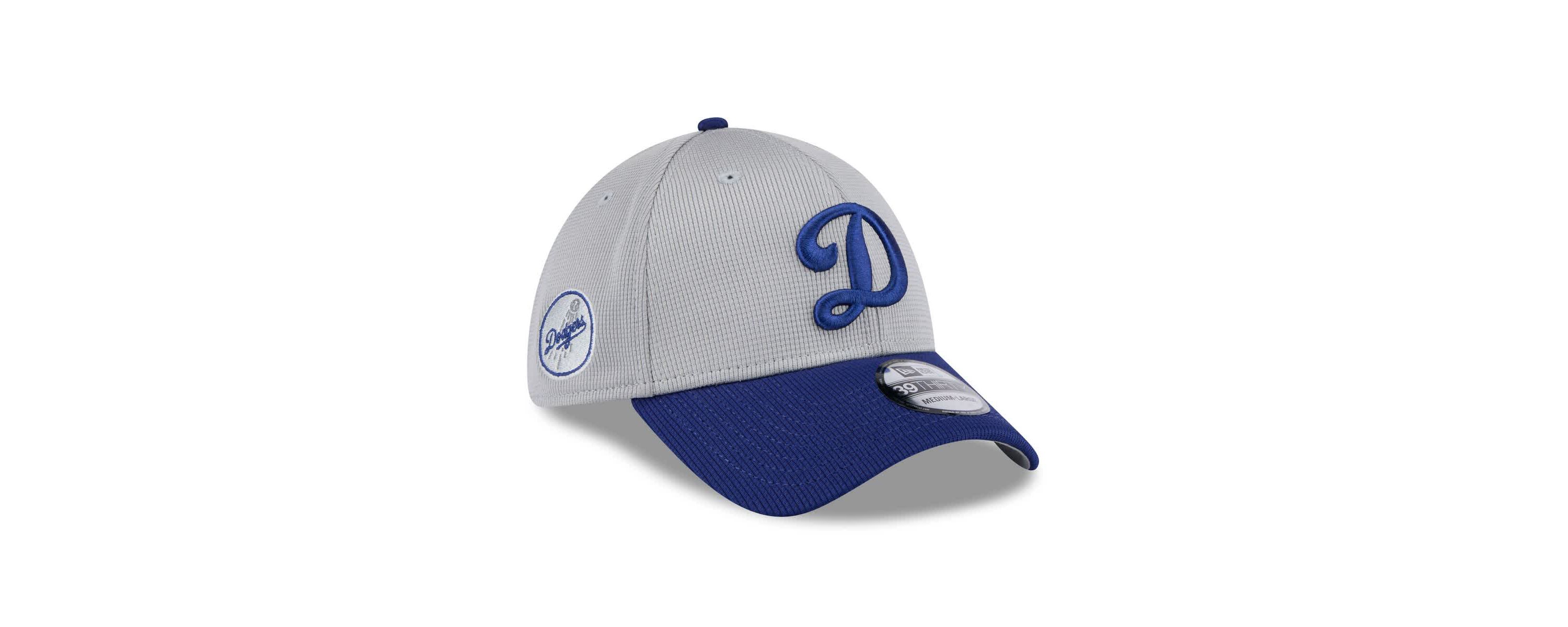 MLB Gray/Royal Los Angeles Dodgers 2025 Batting Practice 39THIRTY Flex Hat