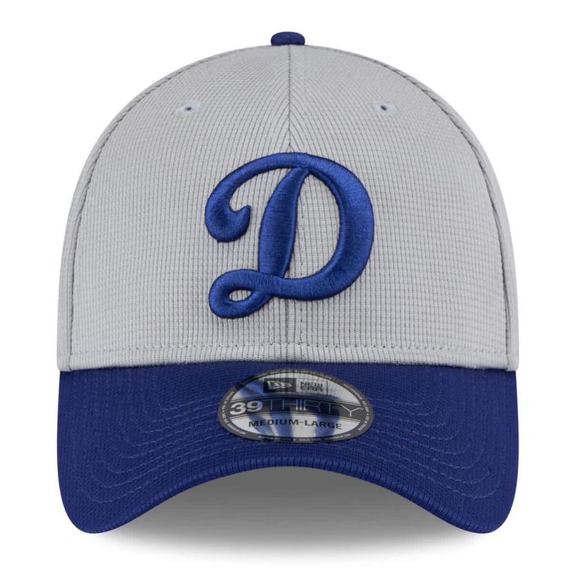 MLB Gray/Royal Los Angeles Dodgers 2025 Batting Practice 39THIRTY Flex Hat