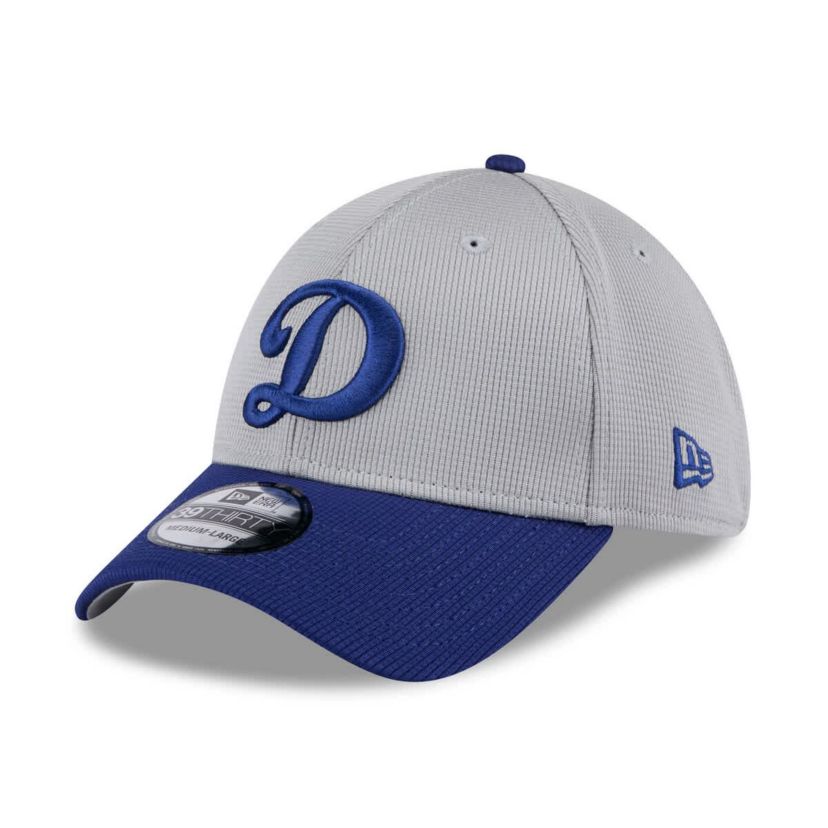 MLB Gray/Royal Los Angeles Dodgers 2025 Batting Practice 39THIRTY Flex Hat