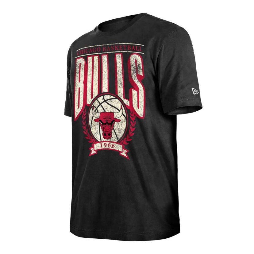 NBA Chicago Bulls Throwback Vintage Boxy Mineral Wash T-Shirt