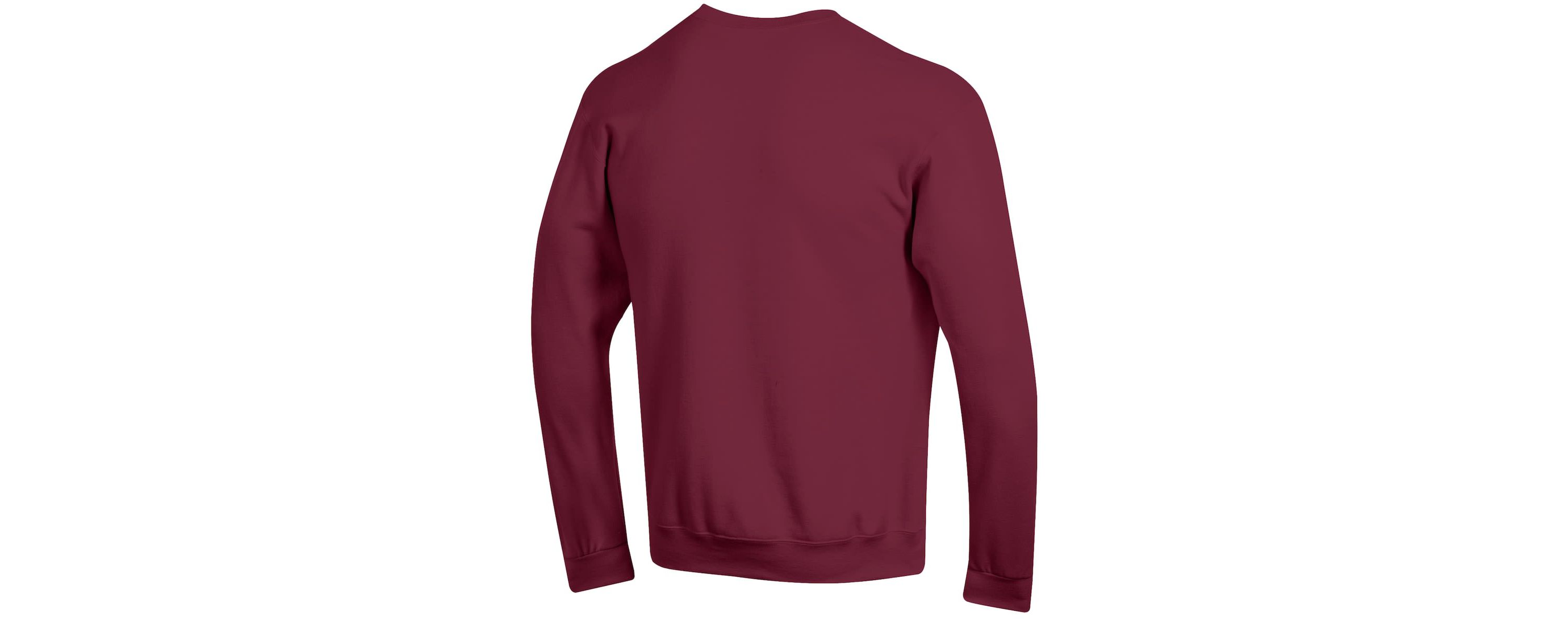 NCAA South Carolina Gamecocks Team Fleece Pullover Sweatshirt