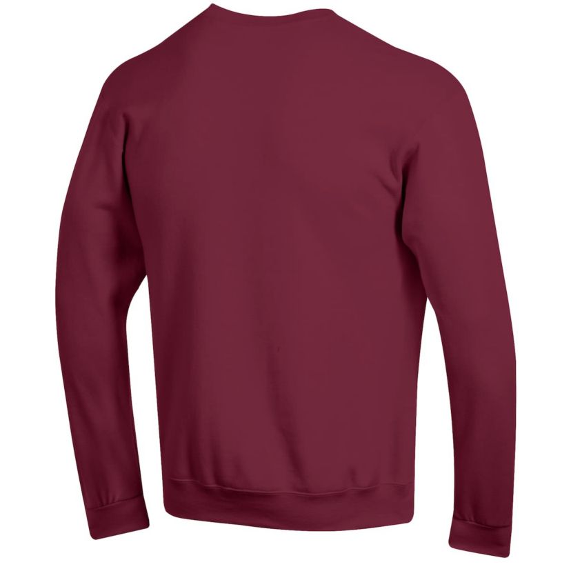 NCAA South Carolina Gamecocks Team Fleece Pullover Sweatshirt