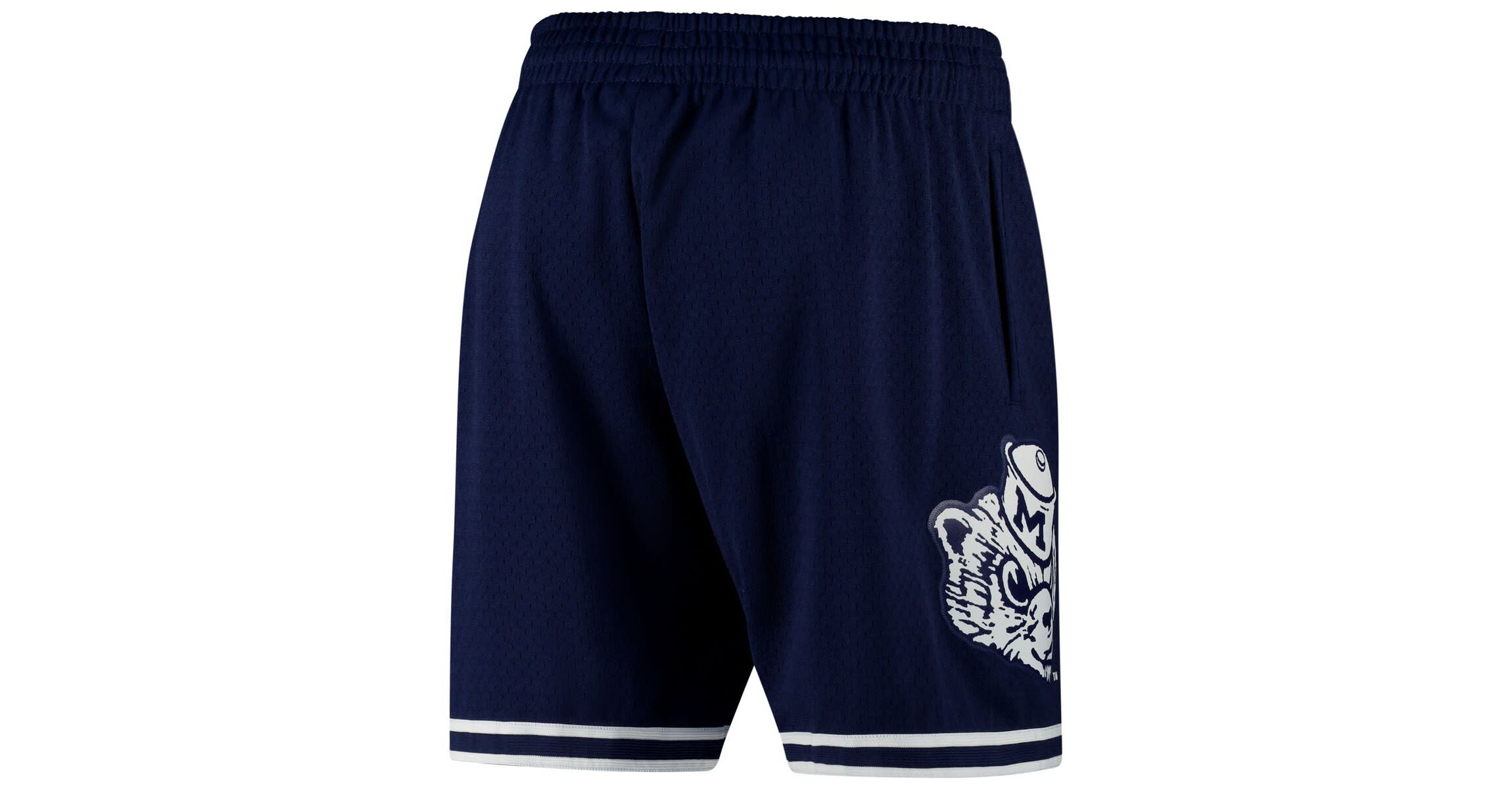 NCAA Michigan Wolverines Team ID Vintage Logo Mesh Shorts
