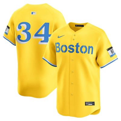 Men's Boston Red Sox MLB Nike David Ortiz Boston Sox Alternate 3 Limited Jersey
