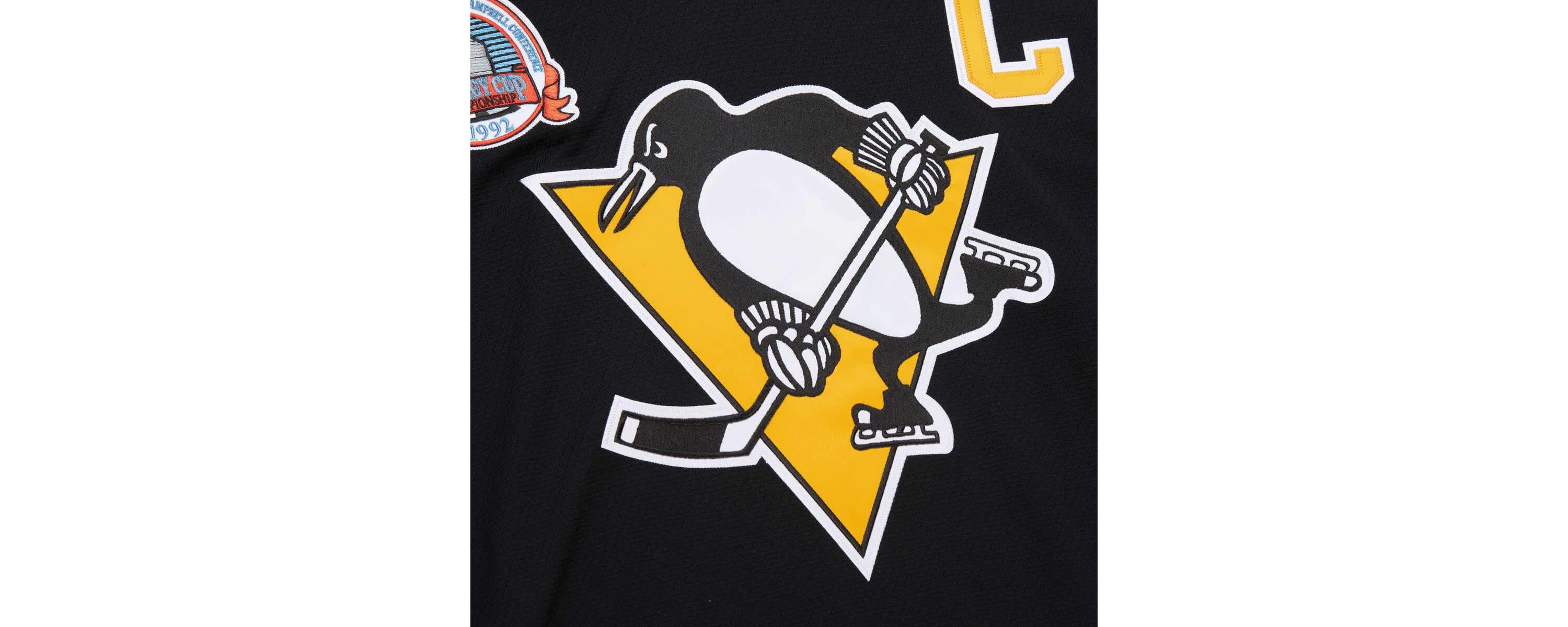 NHL Mario Lemieux Pittsburgh Penguins 1991-92 Power Play Jersey