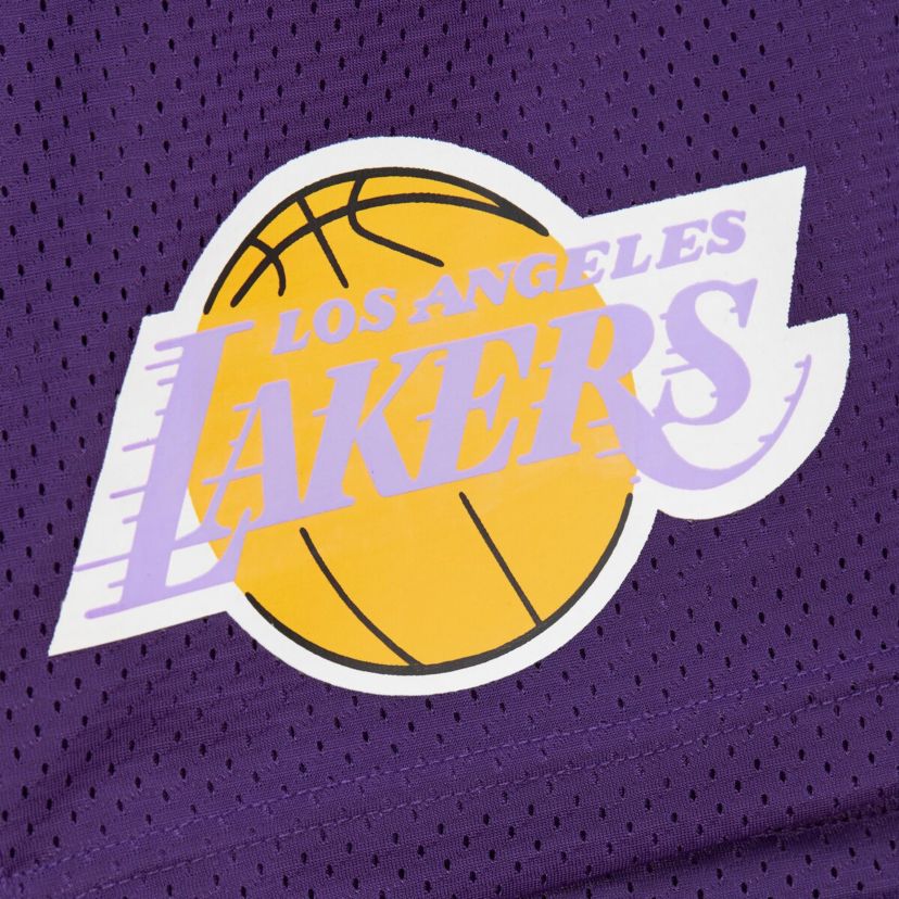 NBA Los Angeles Lakers Hardwood Classics Gameday Mesh Shorts