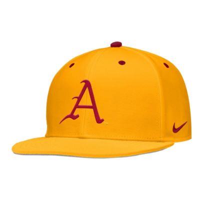 Men's NCAA Nike Arkansas Razorbacks 2025 On-Field True Dri-FIT Fitted Hat