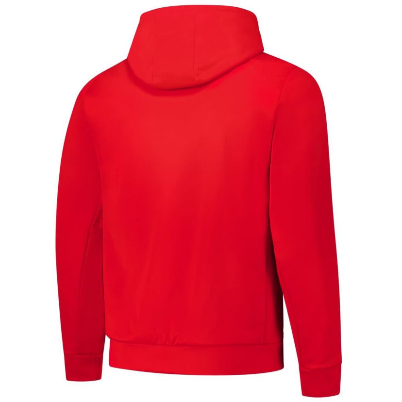 MLB Philadelphia Phillies Pullover Hoodie