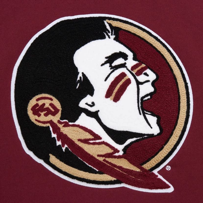 NCAA Florida State Seminoles Chainstich Fleece Pullover Hoodie