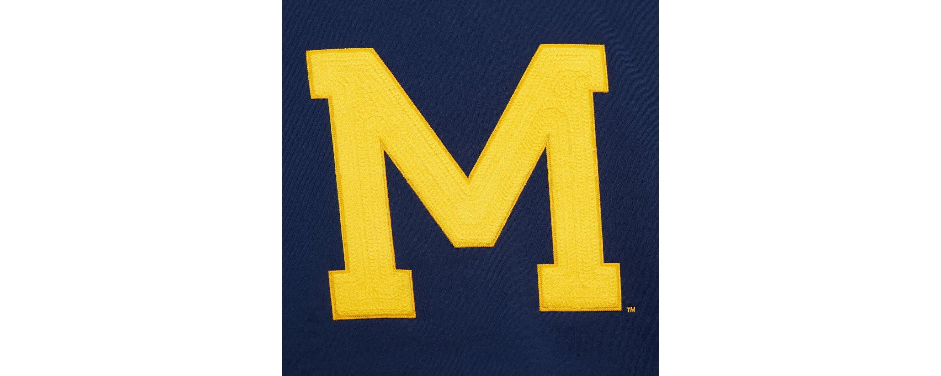 NCAA Michigan Wolverines Chainstich Fleece Pullover Hoodie