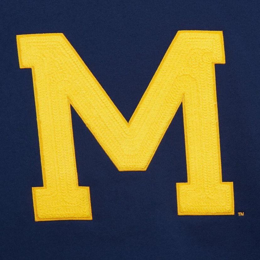 NCAA Michigan Wolverines Chainstich Fleece Pullover Hoodie