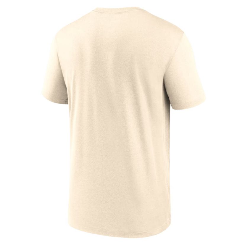 NCAA Nike Auburn Tigers Campus Shadow Legend Dri-FIT T-Shirt