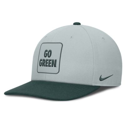 Men's NCAA Nike Gray/Green Michigan State Spartans 2025 Sideline Campus Pro Local Snapback Hat, Gray, Medium