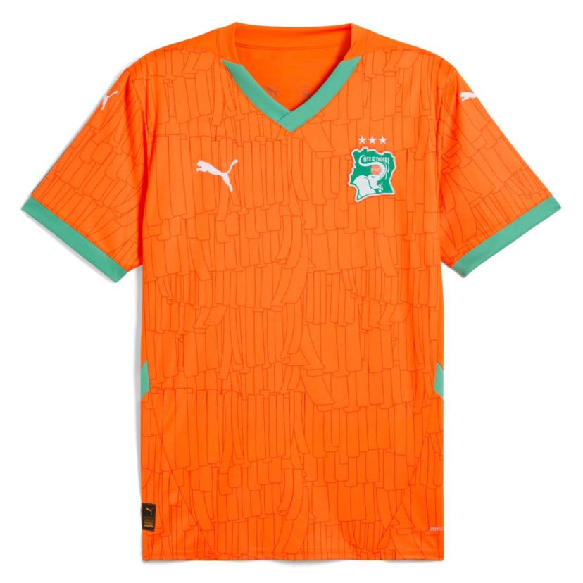 Soccer National Teams Ivory Coast National Team 2025 Home Replica Jersey