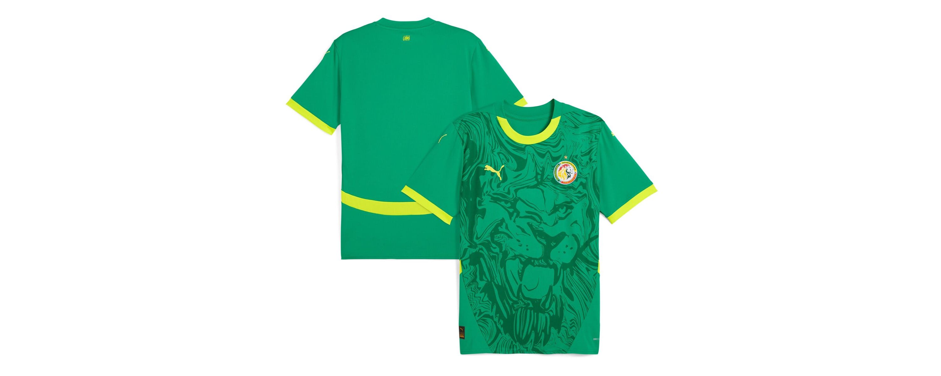 Soccer National Teams Senegal National Team 2025 Away Replica Jersey