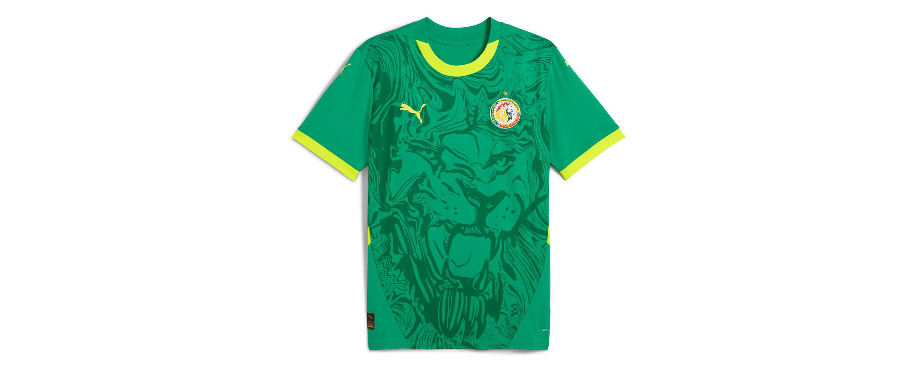 Soccer National Teams Senegal National Team 2025 Away Replica Jersey