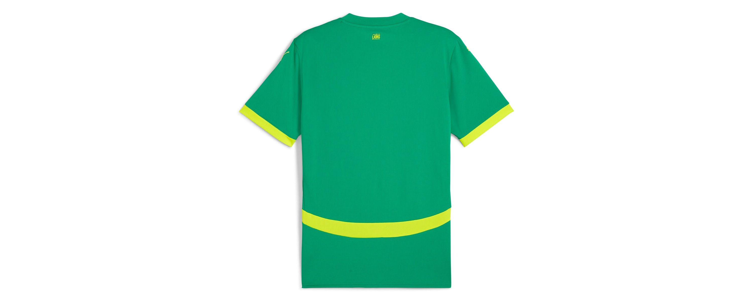 Soccer National Teams Senegal National Team 2025 Away Replica Jersey