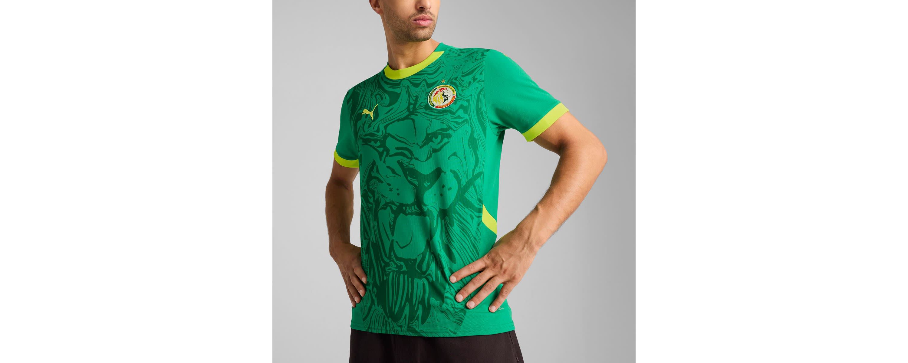Soccer National Teams Senegal National Team 2025 Away Replica Jersey