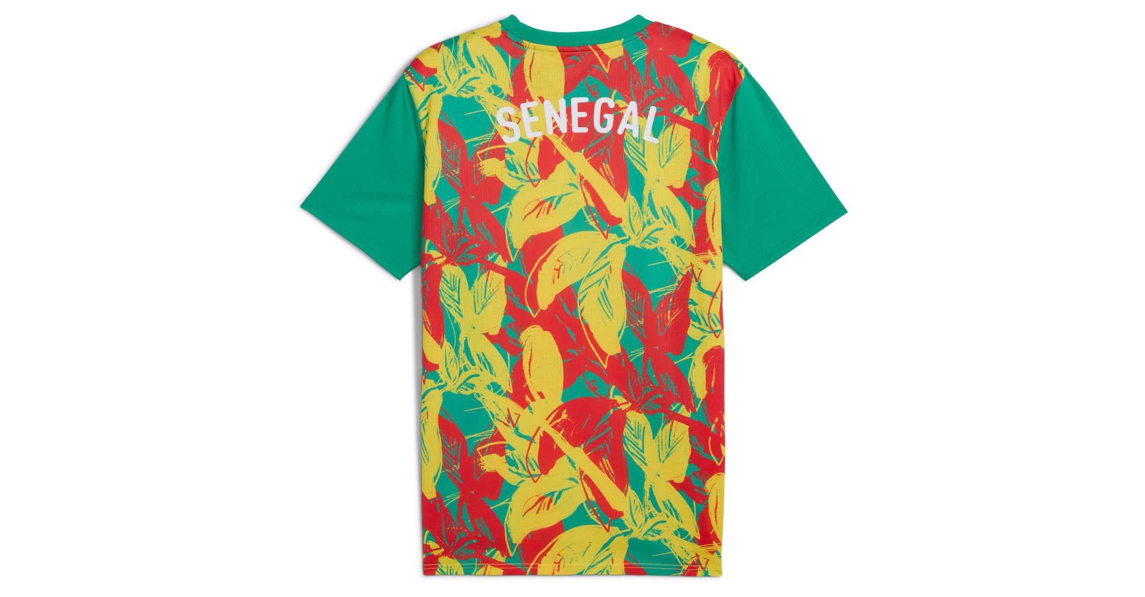 Soccer National Teams Senegal National Team 2025 Pre-Match Jersey