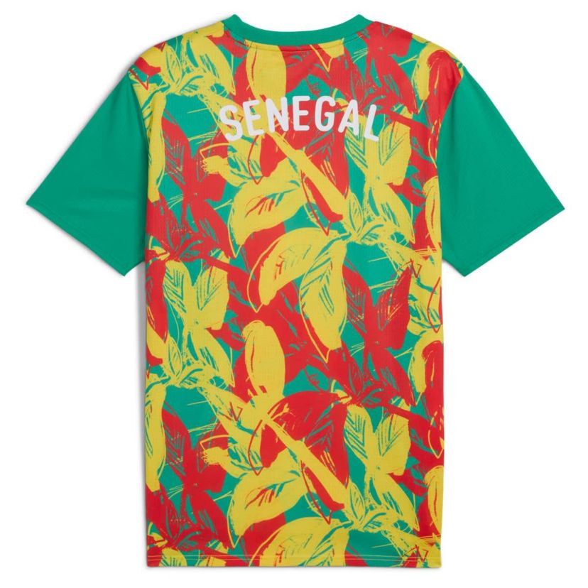 Soccer National Teams Senegal National Team 2025 Pre-Match Jersey