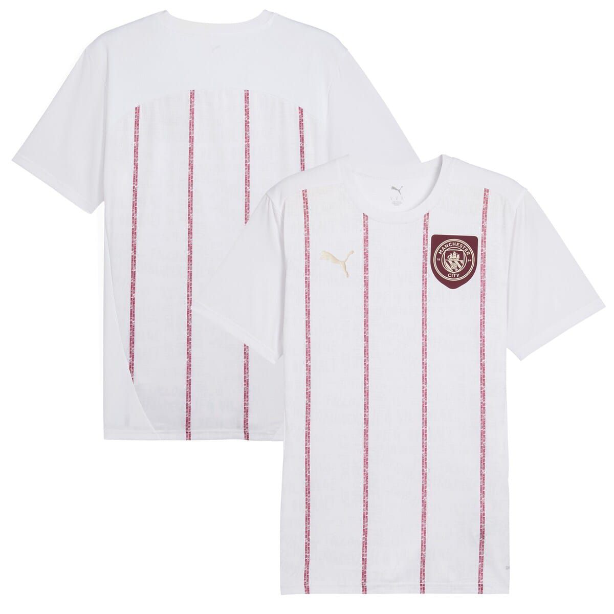 Premier League Manchester City 2024/25 Pre-Match Training Jersey