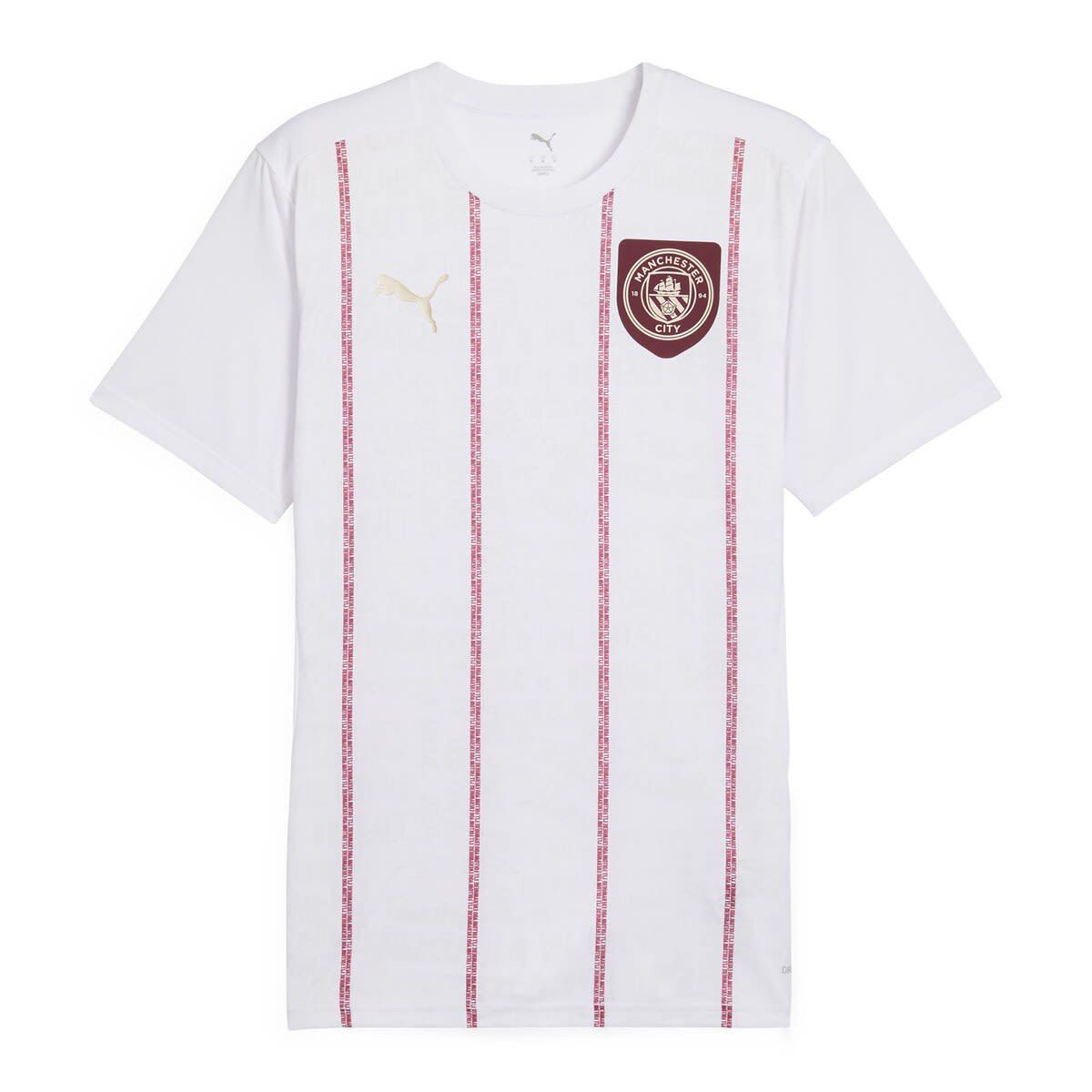 Premier League Manchester City 2024/25 Pre-Match Training Jersey