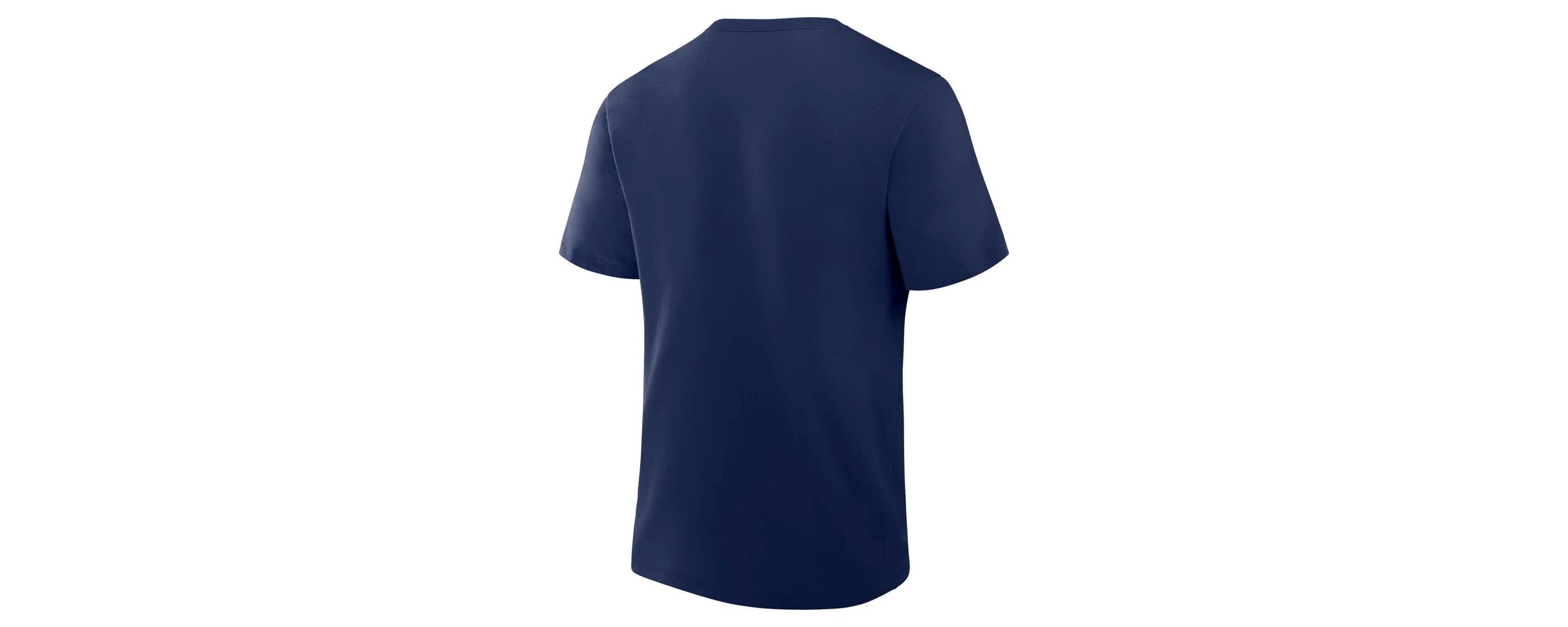 MLB Fanatics Tampa Bay Rays 2025 Spring Training Grapefruit League True Icon T-Shirt