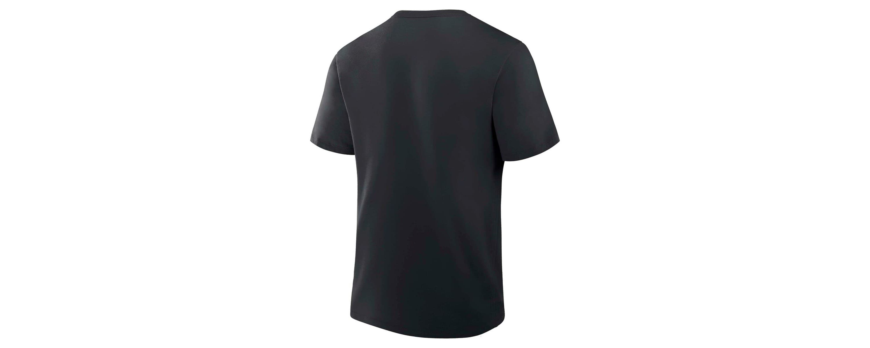 MLB Fanatics Baltimore Orioles 2025 Spring Training Grapefruit League True Icon T-Shirt