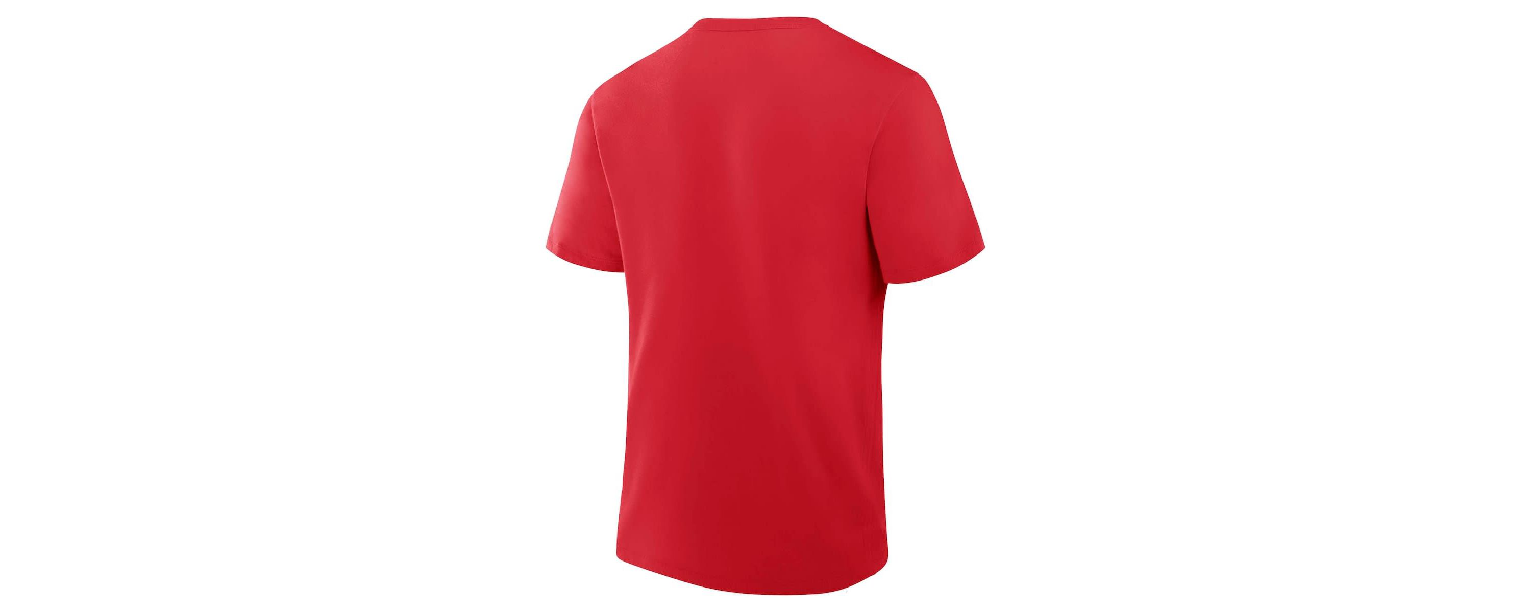 MLB Fanatics Cincinnati Reds 2025 Spring Training Cactus League True Icon T-Shirt
