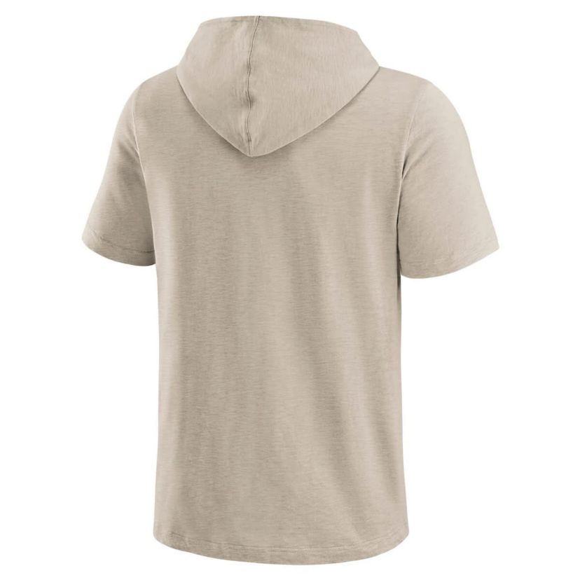 MLB Detroit Tigers Hooded T-Shirt
