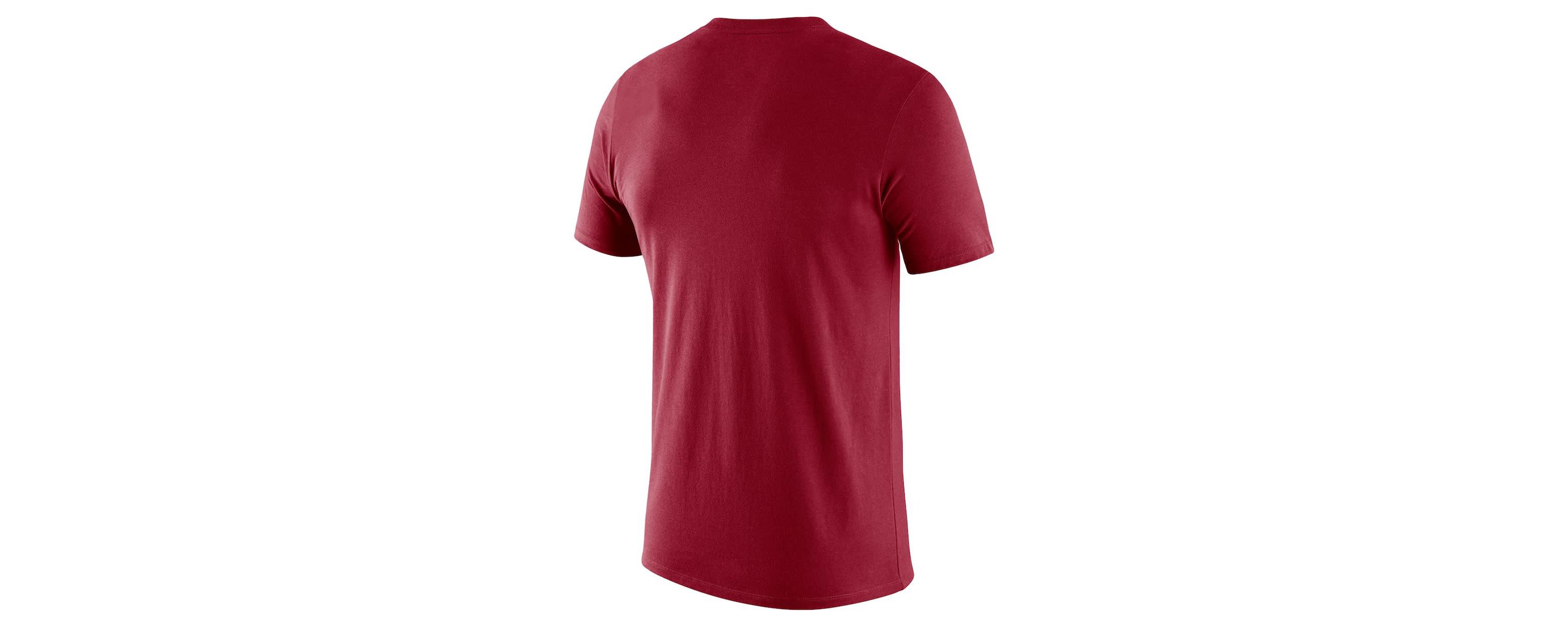 NCAA Nike Arkansas Razorbacks 2025 Sideline Legend Performance T-Shirt