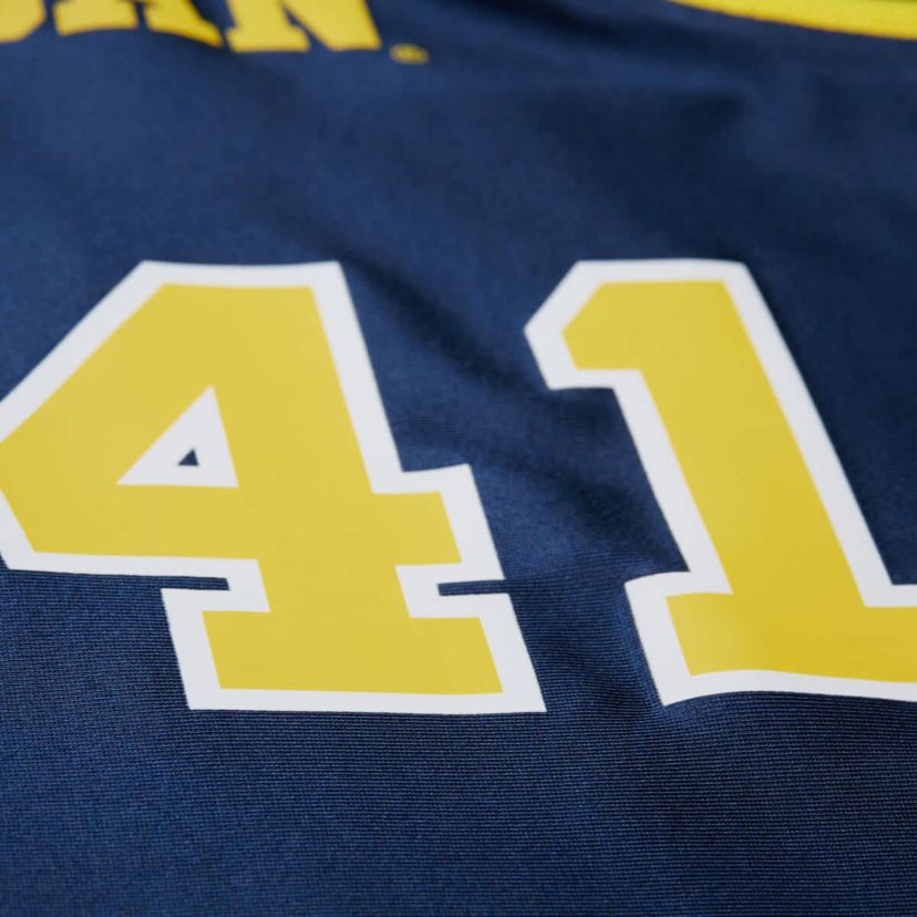 NCAA Glen Rice Michigan Wolverines 1988/89 Authentic Jersey